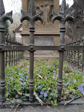 Jaro na Malostranském hřbitově